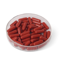 Capsules de gélatine vides à libération prolongée, sans TiO2, à revêtement enterique, tailles 000 à 5, impression de logo en option