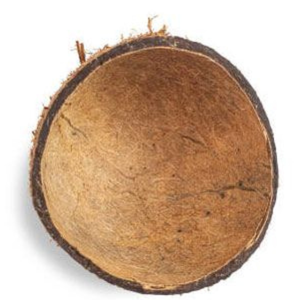 Coques de noix de coco brutes en vrac |   Charbon actif granulaire (GAC) de qualité supérieure pour la purification de l'air, origine Inde - Product Image 2