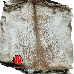 Cabeza de piel de cabra de vitela natural Animal completo con uso de cabello para Djembes Tambor Africano Shaman Drums Bodhrans - Product Image 4