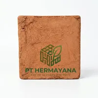 Substrat de pépinière en fibre de coco à faible teneur en EC pour le repiquage des semis, Cocopeat doublement lavé, support de culture en vrac pour fermes et serres