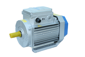 Motor Eléctrico 220V-50Hz-60Hz OEM, Carcasa de Hierro Fundido, Núcleo de Cobre, Precio de Fábrica, Resistente a Goteos IP55 AC, 12 Meses de Garantía, 32mm TOAN PHAT - Product Image 6