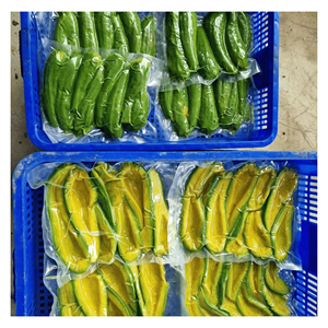 Cubes d'avocat congelés IQF Hass, matière première naturelle verte pour la production de smoothies, la préparation de desserts et l'utilisation dans les boissons, Vietnam - Product Image 6