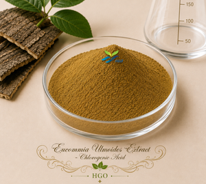 Hgo ผงสมุนไพรกรด chlorogenic 95% สารสกัดจาก Eucommia ulmoides บริสุทธิ์เกรดอาหาร - Product Image 1
