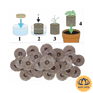 [MEILLEURE NOTATION] |   Pastilles de coco extensibles en fibres de coco pour la culture de fleurs en serre de Blue Lotus Farm - Product Image 1