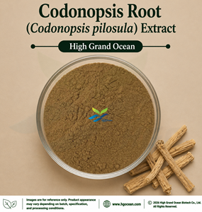 HGO Factory Direct Supply Codonopsis Root (Codonopsis pilosula) Extract (Food Grade) 4:1 5:1 10:1 20:1 100:1 200:1 Ratio Extract - Product Image 1