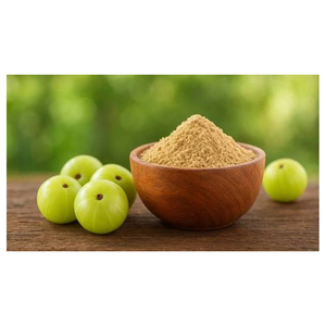 Poudre de fruit d'Amla en vrac, ingrédient alimentaire naturel pour la transformation alimentaire commerciale - Product Image 5
