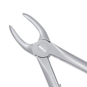 Pinzas de Extracción de Molares Superiores 6C Pedo, Acero Inoxidable, Instrumento Quirúrgico Dental Pediátrico para Extracción de Dientes, Herramienta de Cirugía - Product Image 4