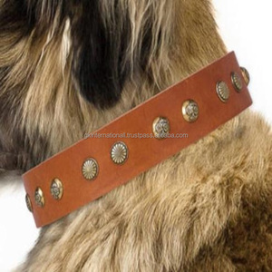 Full Grain Adjustable leather dog collar with decorative bronze plated engraved studs fancy pet collar for all breeds - Product Image 3