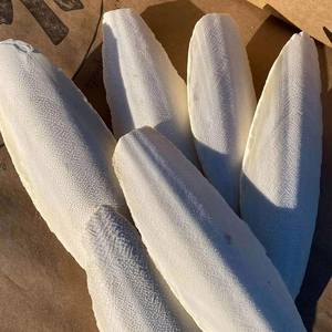 Hueso de Sepia Seco y Limpiado para Mascotas y Nutrición Animal - Product Image 1