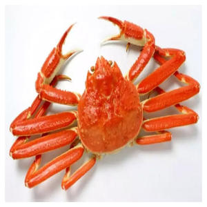 Cangrejos reales congelados de alta calidad disponibles para la venta - Product Image 1