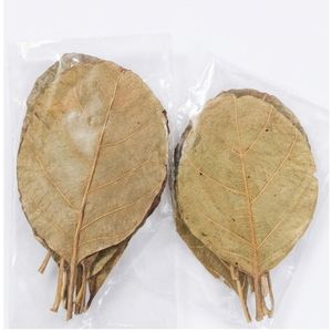 Feuilles de teck naturelles séchées, moins de 10 cm / 3,93 pouces, pour aquarium, lot de 50 feuilles - Product Image 1
