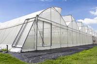 Filet agricole en plastique blanc tricoté par Fortune Agro Net pour la protection des serres contre les insectes avec service de découpe
