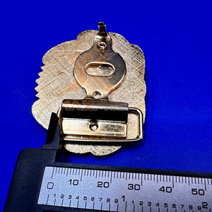 Hebillas de Hierro para Uniformes Ceremoniales de Primera Calidad, Disponibles en Stock a Precio Económico - Product Image 4