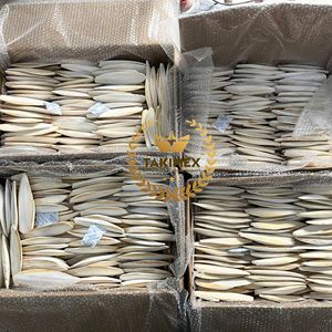 Top Selling Dried <b>Cuttlefish</b> Bone Sepia Bone To Supply Calcium Bone For Birds Best Price From Vietnam - Product Image 5
