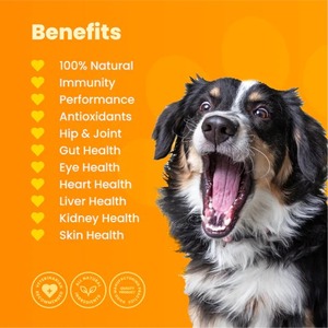OEM Naturel Complet Multivitamine à mâcher pour Chiens Chats Essential Nutrient Boost Wellness Reduce Pet Health Care Suppléments - Product Image 2