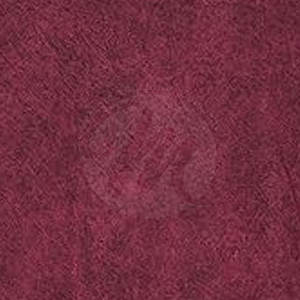 Camiseta de Verano para Hombre, Nuevo Diseño, Manga Corta, Lavado Ácido, Último Diseño, Color Personalizado - Product Image 6