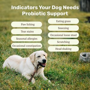 Masticables Probióticos Personalizados para Perros, Suplementos para el Cuidado de la Salud de las Mascotas, Favorecen la Salud Intestinal y Digestiva con Enzimas y Probióticos - Product Image 3
