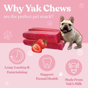 OEM ODM Masticables de Yak del Himalaya con Sabor a Fresa para Perros, Masticables Dentales Naturales de Larga Duración para Todas las Razas, Soporte de Marca Privada - Product Image 4