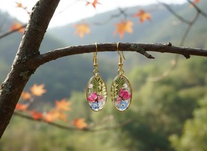 Oval Pressed Flower <b>Earrings</b> Real Floral Resin Original Handmade Botanical <b>Earrings</b> By HWC - Product Image 2