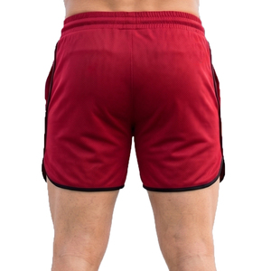 Shorts de plage en mesh pour hommes, shorts de fitness légers en mesh pour hommes, shorts de basket-ball à séchage rapide en mesh pour hommes - Product Image 2