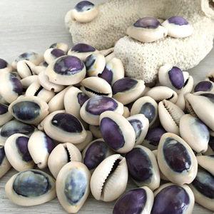 Factory <b>direct</b> price cowrie shells cowry seashells natural sea shell <b>beads</b> for crafting jewelry - Product Image 4