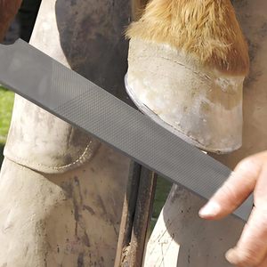Râpe à sabots double face, lime de fermeur de 12 pouces avec poignée ergonomique en caoutchouc, lime à fer à cheval en acier au carbone pour le soin des sabots de chevaux et de chèvres - Product Image 5