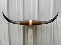 Paire de cornes de taureau polies à la main, de 29 et 35 pouces de large, au toucher naturel, forme authentique, style animalier, pour décoration intérieure