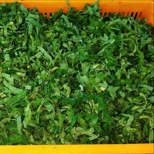 Feuilles de courge congelées 150g 250g, hachées, nettoyées, déchiquetées, feuilles d'Ugwu, fournisseur et exportateur du Vietnam ANGLE - Product Image 1