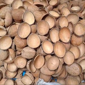 Demi-coquilles de noix de coco naturelles séchées, fibres de déchets agricoles, coques de coco, matière organique pour l'amélioration des sols et les engrais - Product Image 1