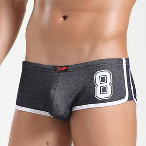 <b>Custom</b> Men's Performance <b>Boxer</b> Briefs Lightweight Sports Underwear OEM ODM Private Label Wholesale Factory - Product Image 2