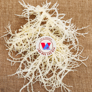 Algues Marines Dorées Jaunes à Vendre : Algues de Mer Sèches Sans Épine, Texture Croustillante, Idéales pour Épaissir les Soupes - Product Image 6