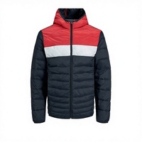 Veste d'hiver matelassée pour homme, col montant, fermeture éclair, couleur unie, décontractée, coupe-vent, imperméable, motif dessin animé Paisley, vente en gros OEM