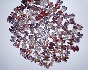 Paire d'agates Crazy Lace naturelles de qualité supérieure, pierres précieuses lâches, formes variées, jeu de couleurs, polies, haute qualité, pour la fabrication de bijoux - Product Image 3