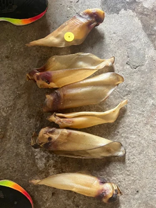 Friandises à mâcher pour chien en oreille de buffle naturelle, riches en protéines, longue durée - Product Image 6