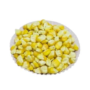 Semillas de Maíz Híbrido BCA F1 Más Vendidas, Alta Tasa de Germinación, Semillas Frescas de Jember de Indonesia, 6 Meses de Vida Útil - Product Image 2