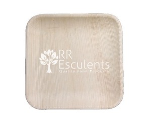 Assiettes et bols en feuilles de palmier biodégradables naturels, 3 compartiments, vaisselle en feuilles d'arec, vaisselle jetable écologique pour événements, Inde - Product Image 6