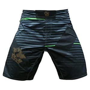 Short MMA personnalisé de haute qualité, Short sur mesure, meilleur matériel, nouvelle collection - Product Image 3