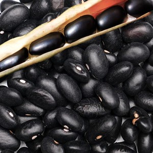 Frijoles Negros a Granel, Nueva Cosecha, Frijoles Negros Secos Naturales, Procesamiento de Alimentos, Proveedor Mayorista, Exportador - Product Image 2
