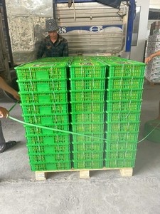 Longan Fresco de Vietnam, Calidad de Exportación con Piel Limpia y Textura Firme, Perfecto para Cadenas de Tiendas y Importadores - Product Image 4