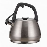 Bouilloire sifflante en acier inoxydable 2,7 L pour la cuisine, avec peinture colorée, théière
