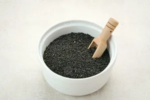 Semillas de albahaca Ocimum Basilicum Sabja Tukmaria, semillas negras saludables con textura gelatinosa similar a las semillas de chía - Product Image 3