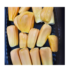 Trozos de Jaca IQF Congelados, Fruta Tropical para Venta al por Mayor y Procesamiento de Alimentos - Product Image 2