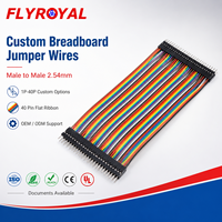 Cableado Dupont Personalizado Macho a Macho 1P 2P 3P 4P 5P 6P 10P 20P 30P 40P 2.54mm, Cables Jumper para Breadboard, Arnés de Cable Plano Tipo Cinta