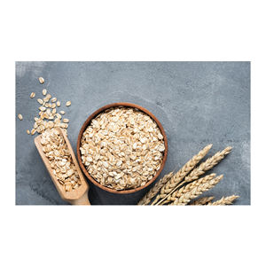 Harina de Avena Saludable al por Mayor, Proteína de Avena en Polvo - Product Image 2