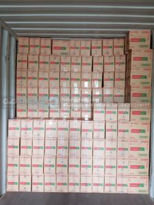 Protection de la cavité Colgate dents fortes dentifrice à la menthe glacée 45g-Soins dentaires en gros du Vietnam - Product Image 5