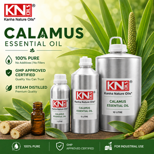 Excellent Quality 100% Pure Calamus Essential Oil Bulk Manufacturer Acorus calamus Organic Certified Global Exporter - Product Image 2
