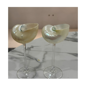 Vaso Decorativo de Concha Marina para Regalos en Resorts, Tiendas de Hotel y Decoración de Restaurantes Costeros - Product Image 2