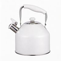 Bouilloire sifflante en acier inoxydable vert mat avec poignée résistante à la chaleur pour cuisinière à induction et à gaz