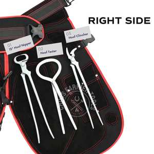 Kit Profesional de Herramientas para Herrador de Caballos con Delantal, Protectores de Piernas, Probador de Cascos, Lima de Cascos, Martillo de Herrero, Clavillero Curvo y Alicates - Product Image 4