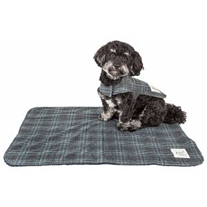 2-in-1 Reversible Windowpane Plaid Dog Jacket and Matching Pet Mat Convenient Pet Accessories - Product Image 2